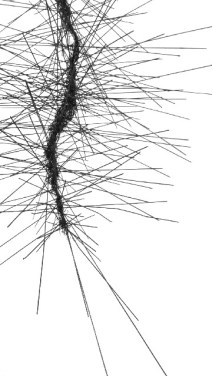 PicsArt_03-26-09.42.19